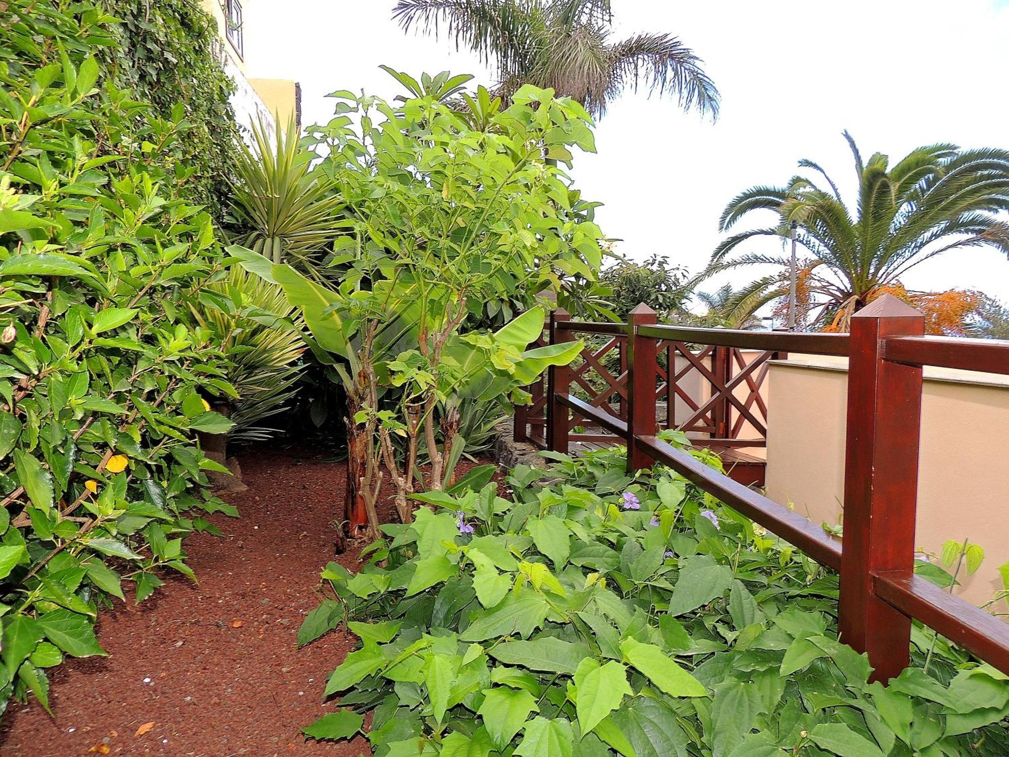 Apartamento MAR Y TEIDE El El Sauzal Esterno foto